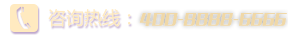 24小时咨询